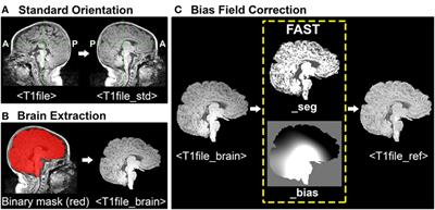 Resting-State Functional Connectivity in the Infant Brain: Methods, Pitfalls, and Potentiality
